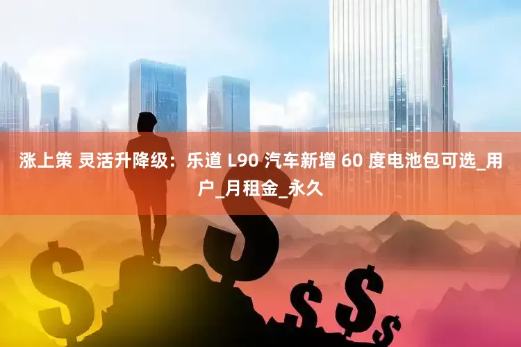 涨上策 灵活升降级：乐道 L90 汽车新增 60 度电池包可选_用户_月租金_永久