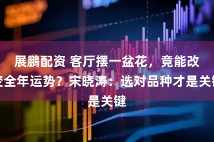 展鵬配资 客厅摆一盆花，竟能改变全年运势？宋晓涛：选对品种才是关键